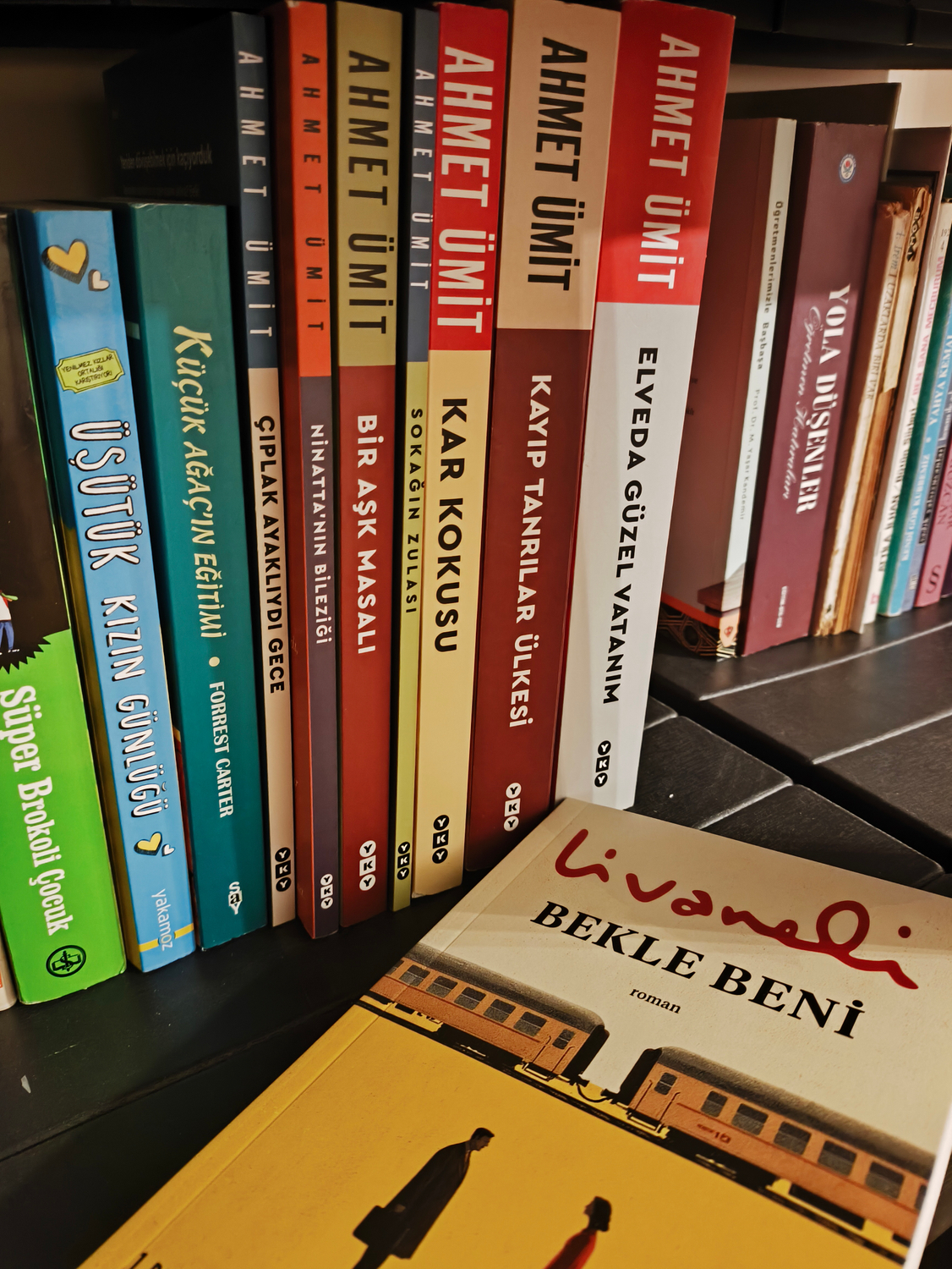 Bekle Beni - Zülfü Livaneli