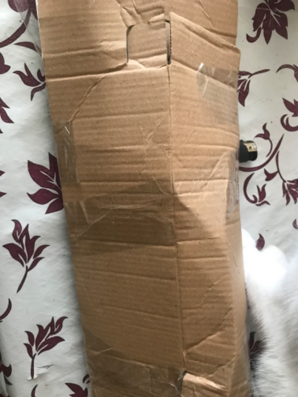 Pi İthalat Kedi Kumu Küreği