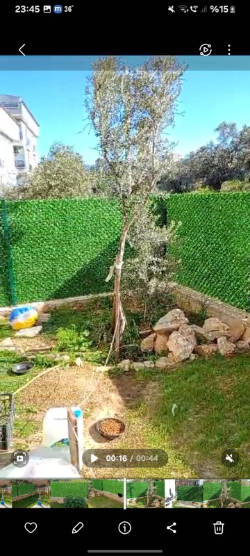 visual-comment-img