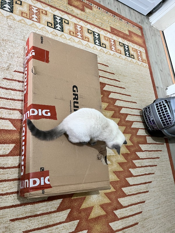 Grundig VCP 5131 Kablosuz Dikey Şarjlı Süpürge