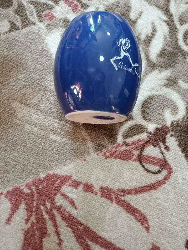 Giant Stride Mug Navy