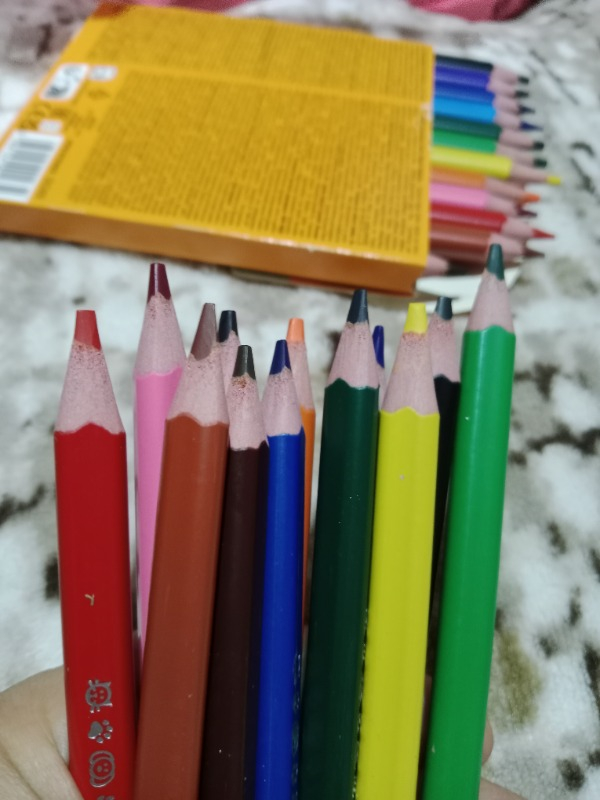 Bic Evolution Üçgen jumbo Boya Kalemi 12 Renk 1632