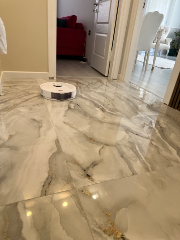 Roborock Vacuum Cleanner Q8 Max Robot Süpürge Beyaz