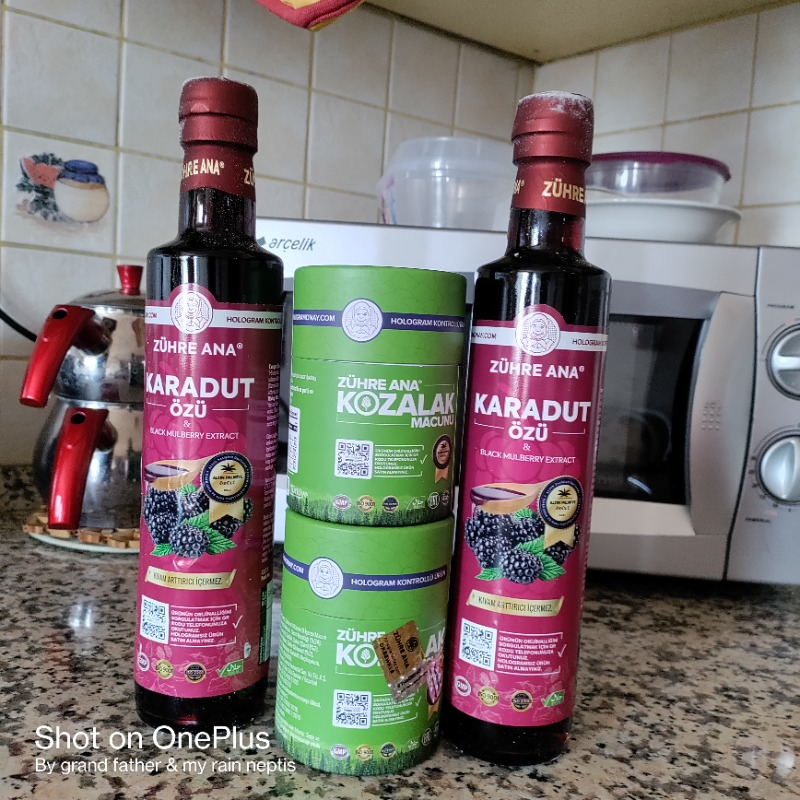 Zühre Ana Karadut Özü 670 gr