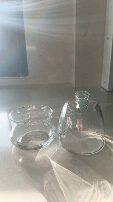 Lav  Şekerllik Tekli