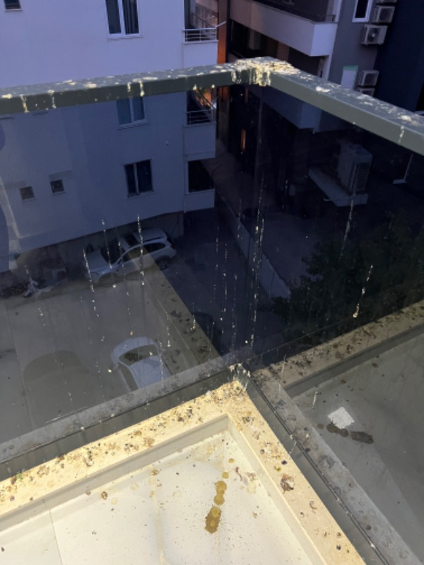 Expel Plastik Kuşkonmaz Bariyer Kuş Engelleyici Tel 3D Model 5'li