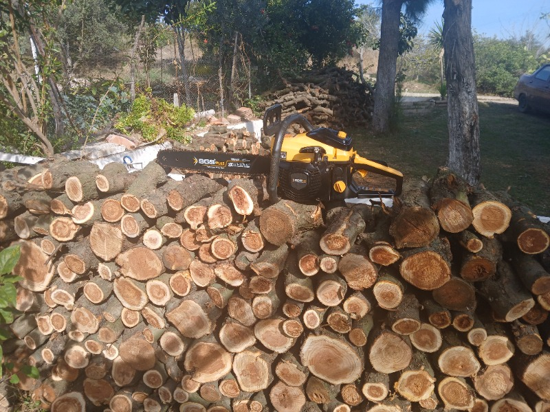 Sgs SGS5354 Ağaç Kesme Motoru Benzinli