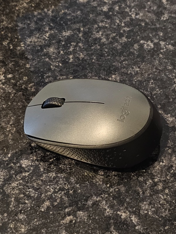 Logitech M170 USB Alıcılı Kablosuz Mouse - Gri