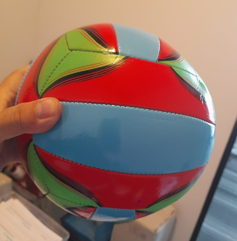 Anka Voleybol Topu (Profesyonel Boy)