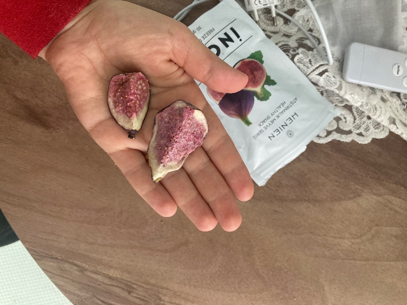 Henien Dondurularak Kurutulmuş İncir 30 Gr - Koruyucu ve Katkı Maddesi İçermeyen Freeze Dried İncir