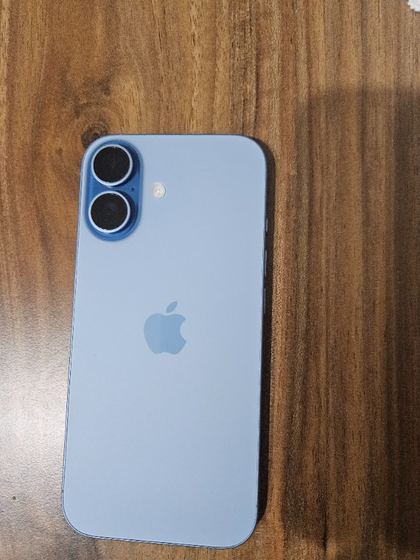 Apple iPhone 17 256 GB Sis Mavisi