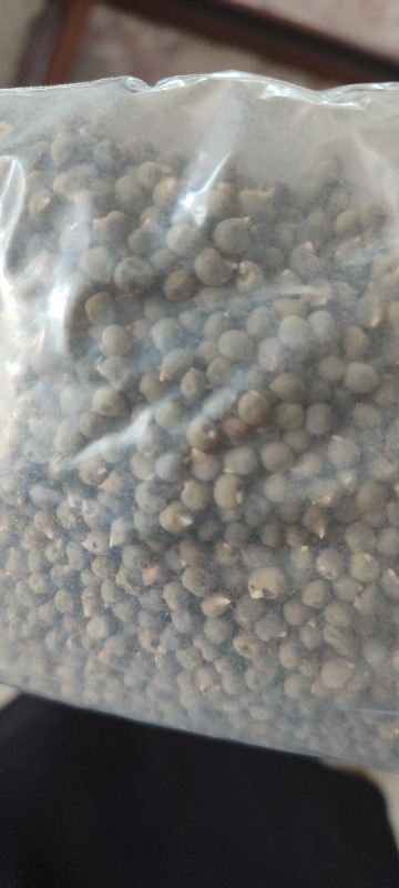 Attargani Bamya Tohumu 250 g