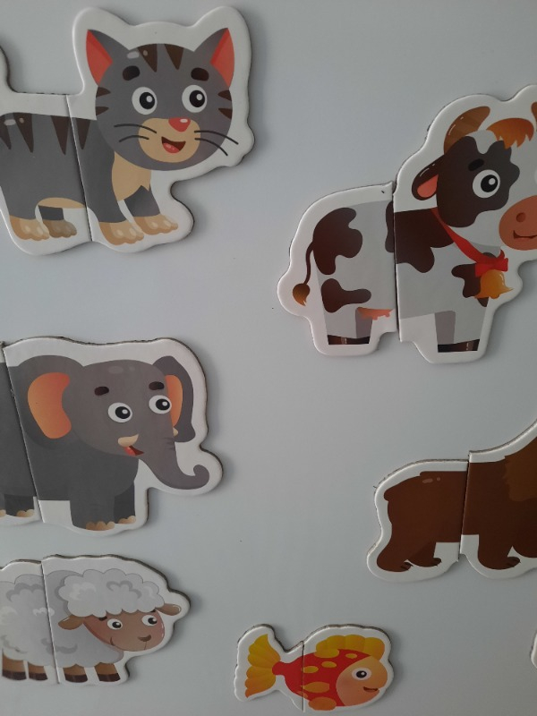 İlk Magnet Puzzle 12 - 36 ay