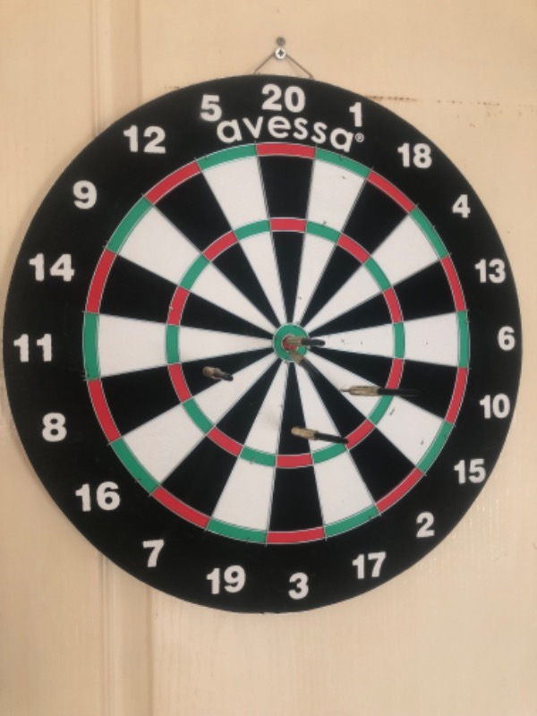 Avessa Flocked Dart Seti