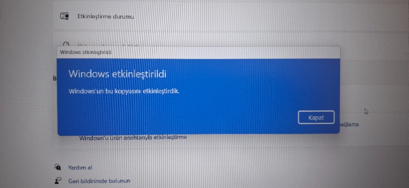 Microsoft Windows 11 Pro - Elektronik Lisans