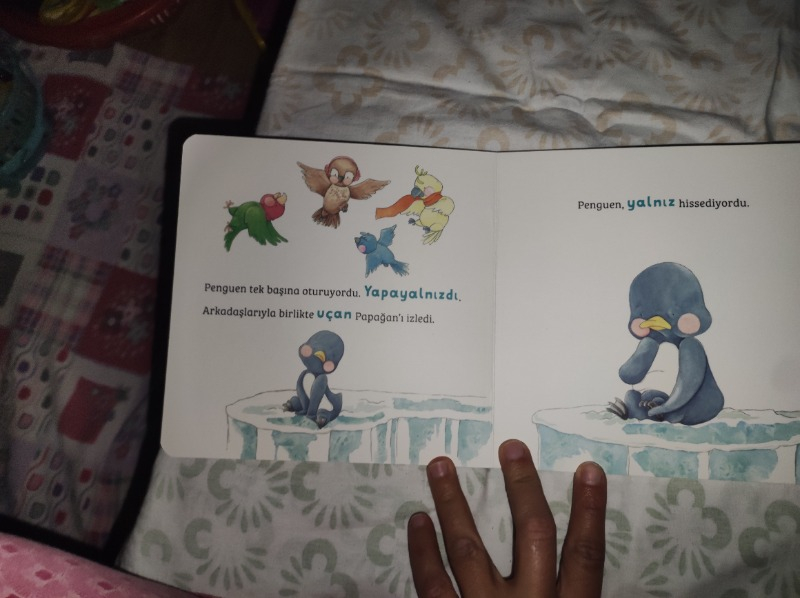 Yalnız Penguen - Phillip Gwynne