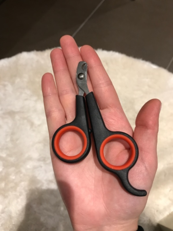 Maxi Life Kedi Tırnak Makası 12cm