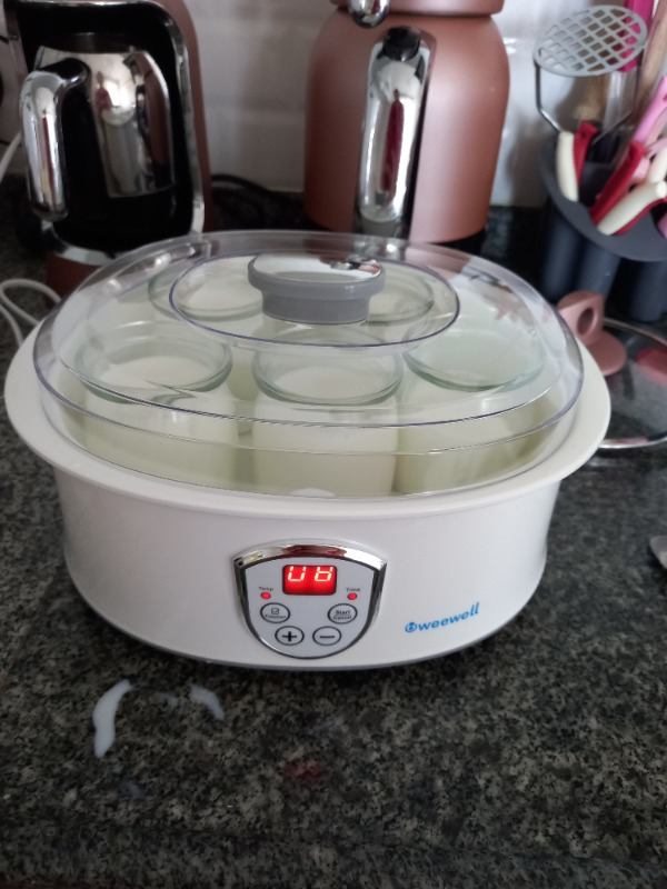 Weewell WYM400 Dijital Yoğurt Yapma Makinesi - 7 Cam Kap - LED Ekran