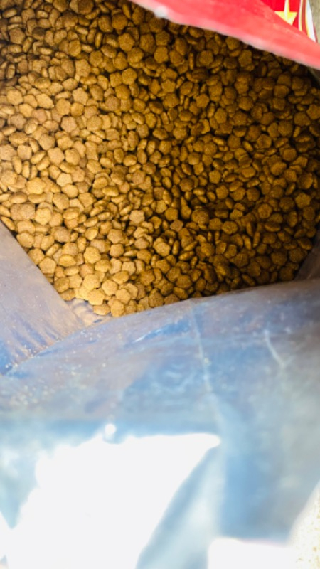 King Plus Cat Kuzulu Yetişkin Kedi Maması 15 Kg