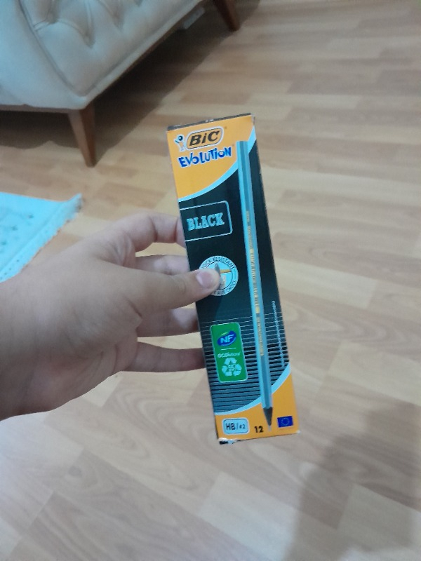 Bic Evolution Black HB Kurşun Kalem 12'li Kutu