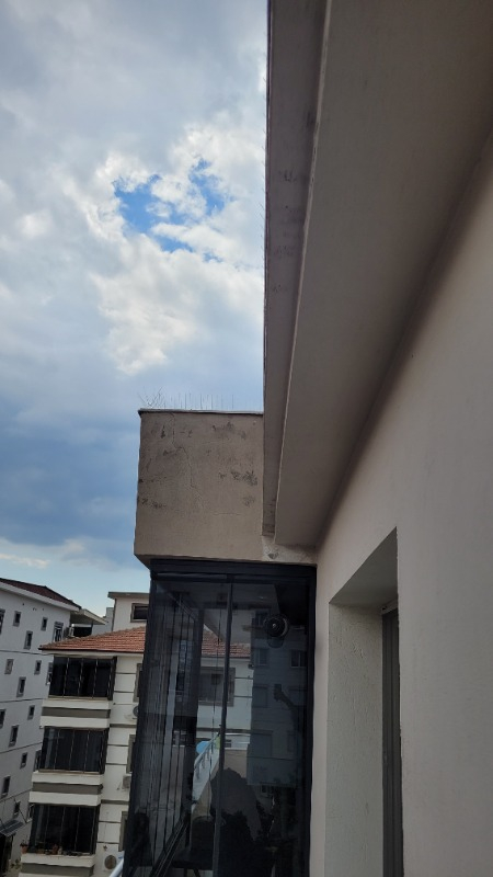 Expel Plastik Kuşkonmaz Bariyer Kuş Engelleyici Tel 3D Model 50'li