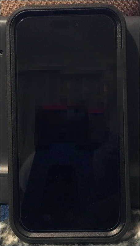 iPhone 15 256 GB