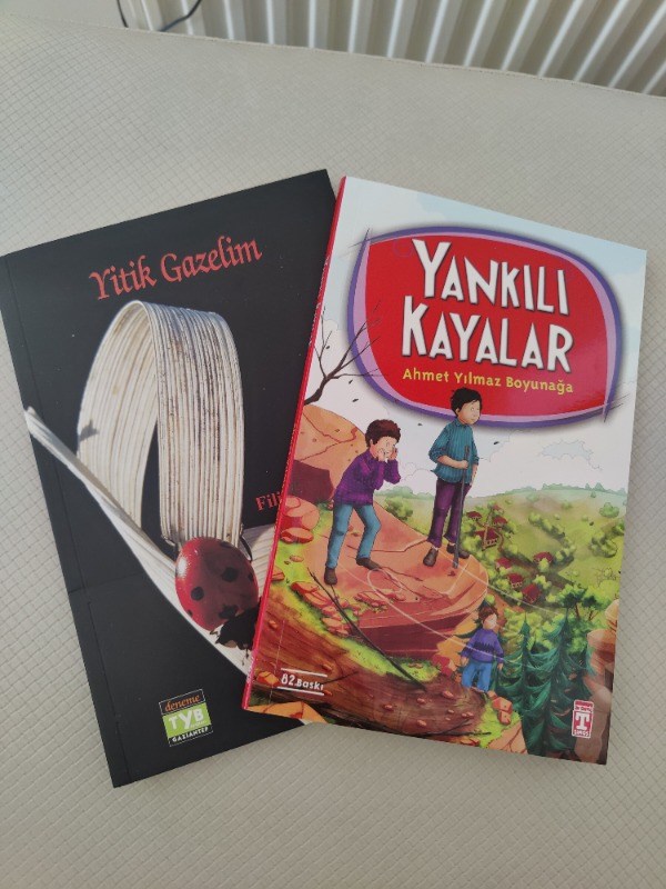 Yankılı Kayalar - Ahmet Yılmaz Boyunağa