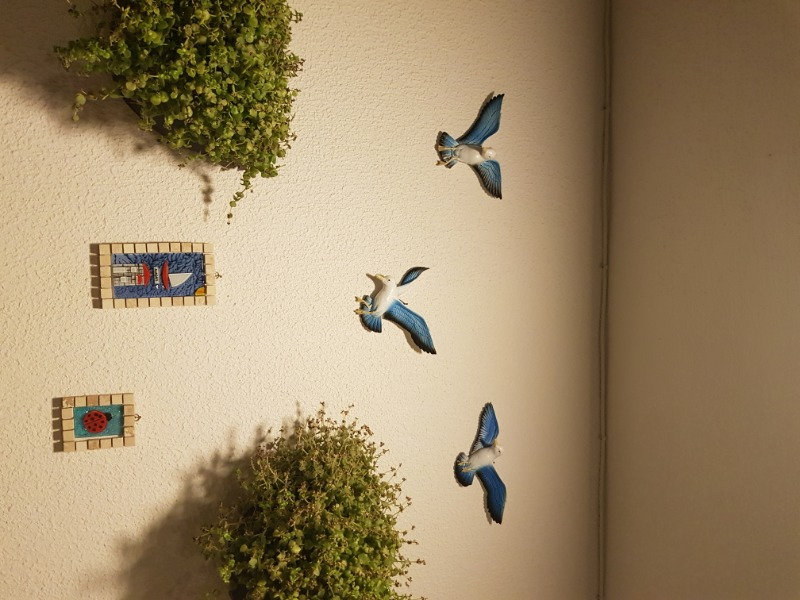Süme Üçlü Kuş Duvar Süsü Dekoratif Üçlü Martı