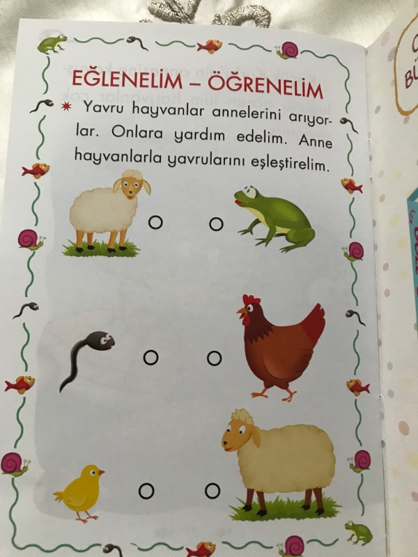 Mini Masallar Seti 1 (10 Kitap) - Müjgan Şeyhi