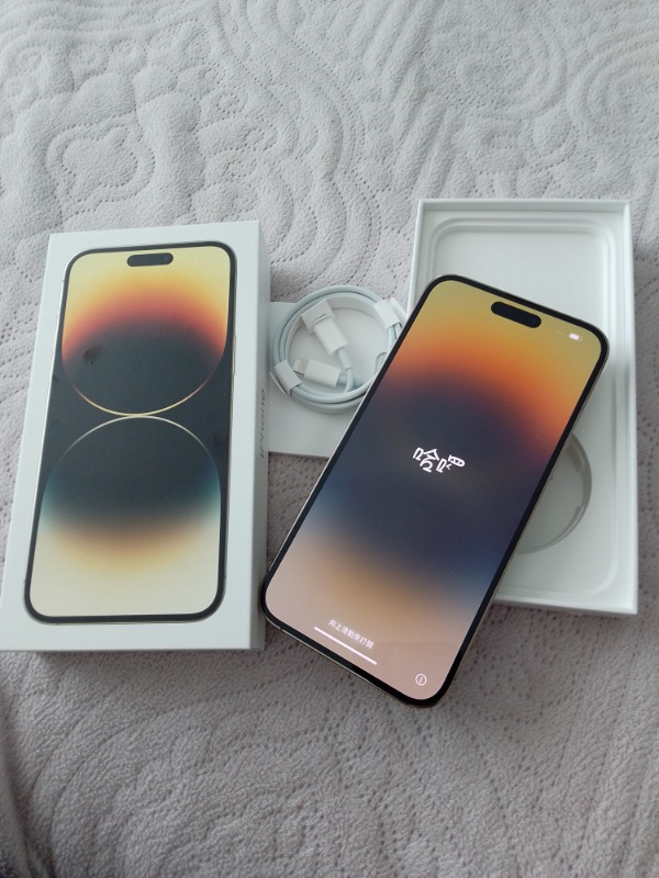 iPhone 14 Pro Max 256 GB