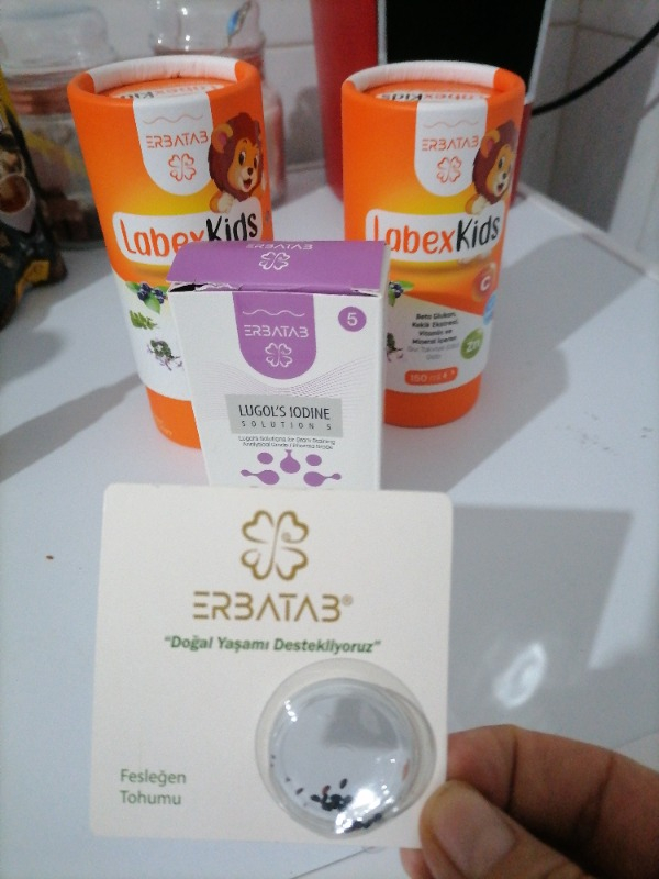 Erbatab Labex Kids Çinko Kekik Beta Glukan Karamürver Çocuk Multivitamin Şurup 150 ML