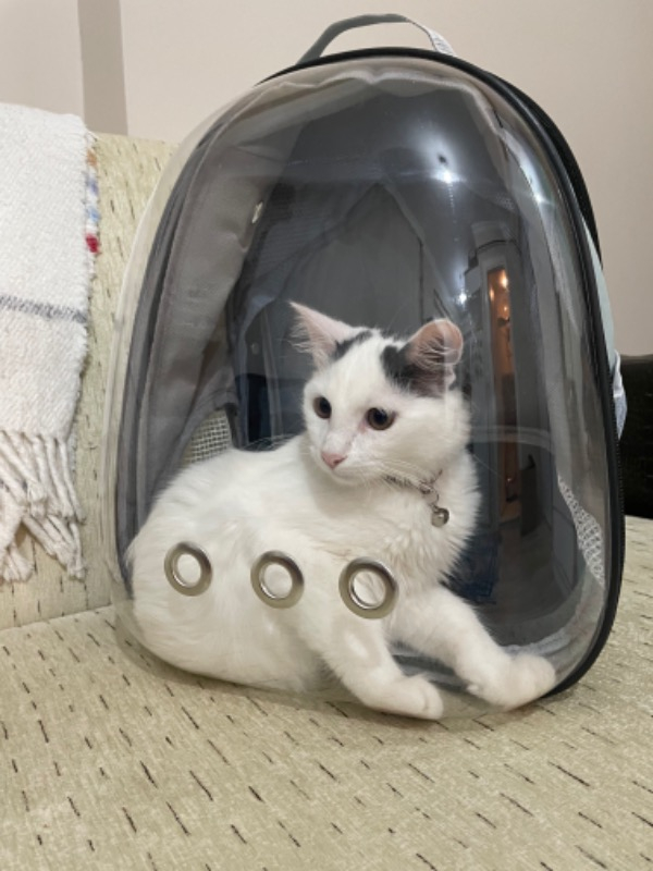 Gezegenpet Astronot Çanta Gri