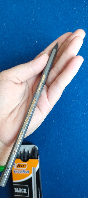 Bic Evolution Black HB Kurşun Kalem 12'li Kutu