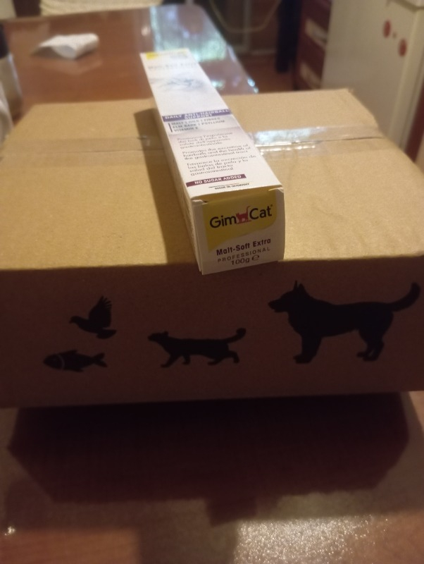 Gimcat Malt Soft Extra 100 gr