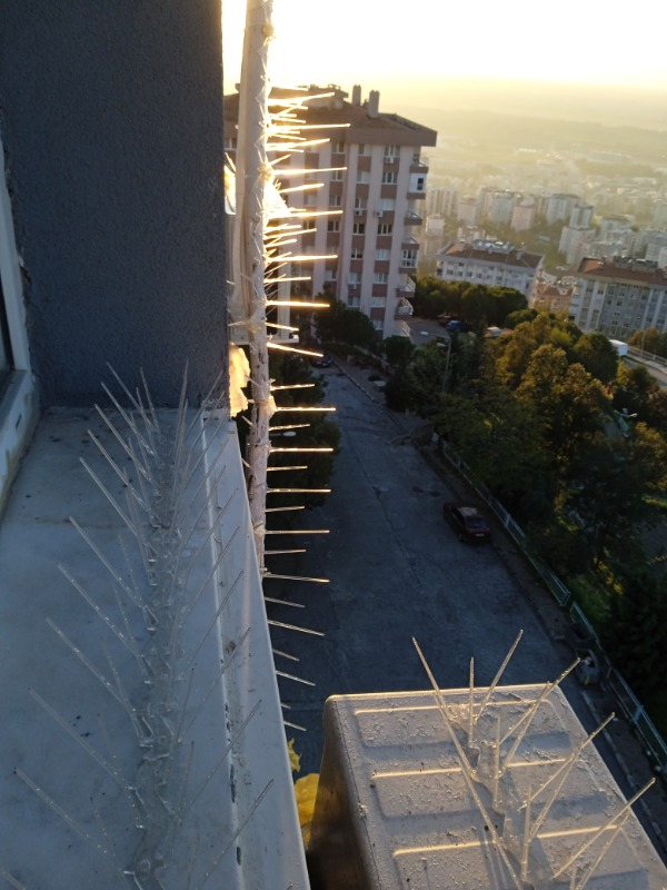 Plastik Kuşkonmaz Bariyer Kuş Engelleyici Tel 3D Model 10'lu