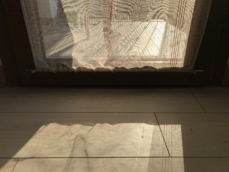 visual-comment-img
