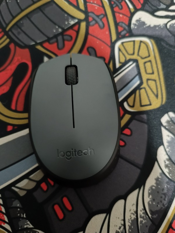LOGITECH M170 Kablosuz Optic Siyah Mouse 910-004642