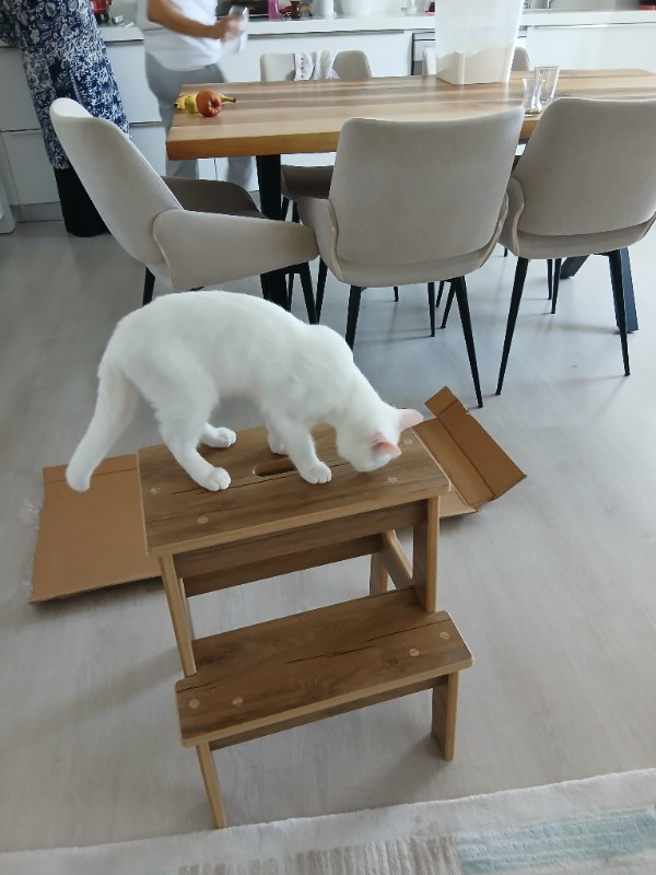 Basamaklı Mutfak Tabure Merdiven