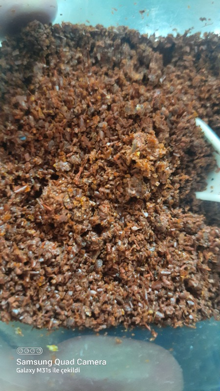 Antep Acı Kırmızı Toz Biber 500gr