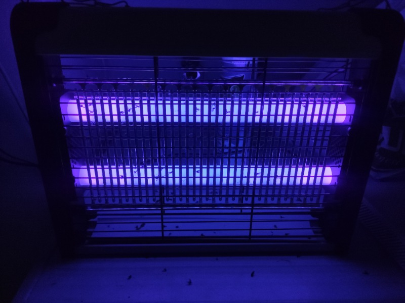 Asonic AS-A28 Siyah 4W+ 2000V Iki Ledli Sinek Öldürücü