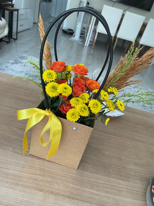 Cotenconcept V Yaka Basic Tişört
