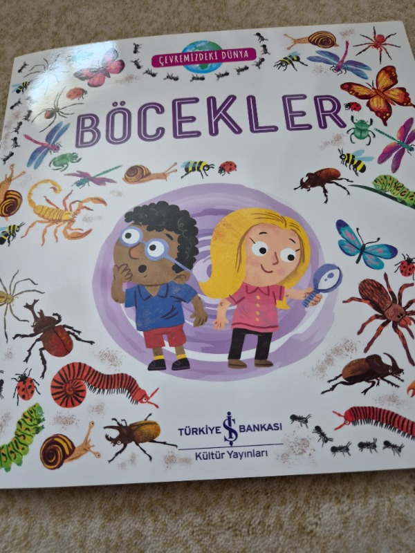 Çevremizdeki Dünya Böcekler