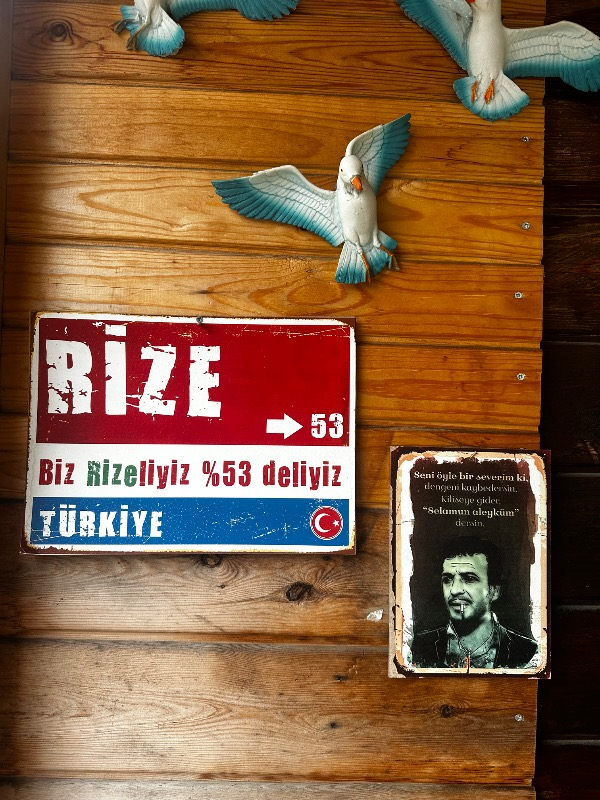 Yataş Bedding Malin Ranforce Nevresim Takımı (Tek Kişilik)