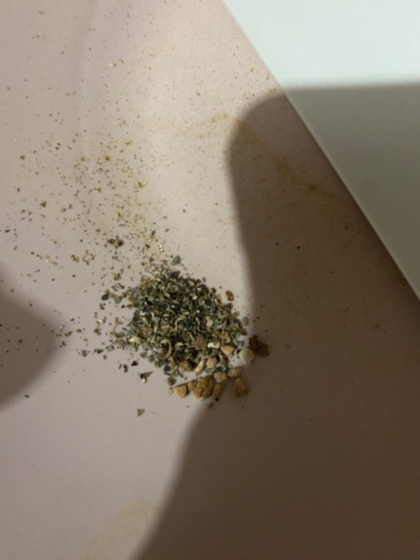 Attargani Bamya Tohumu 250 g