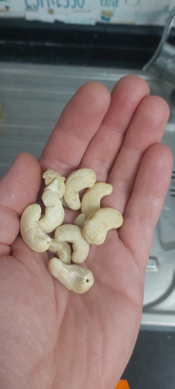 List Nuts Çiğ Kaju 1 kg