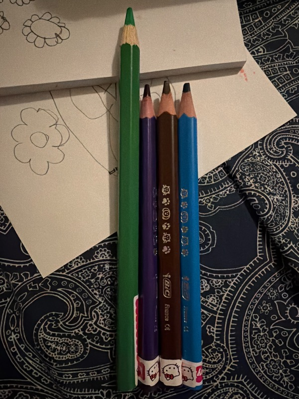 Bic Evolution Üçgen jumbo Boya Kalemi 12 Renk 1632