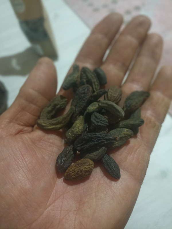 Sultanbahçe Kara Halile (Terminalia Chebula) 500 gr