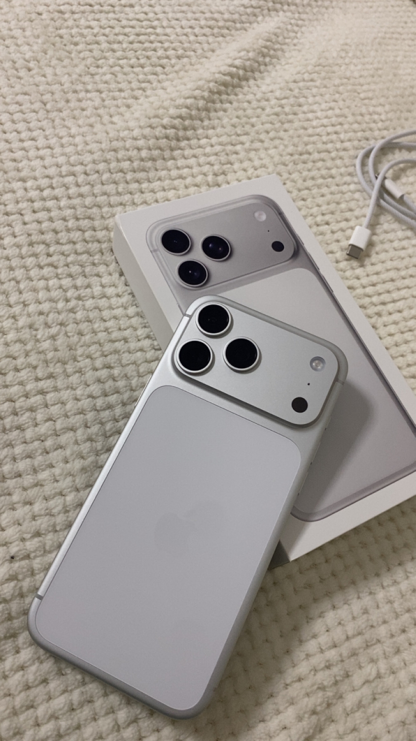 Apple iPhone 17 Pro Max 512 GB Gümüş