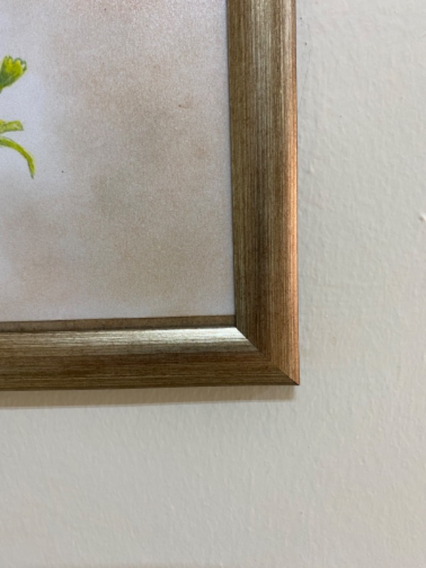 visual-comment-img
