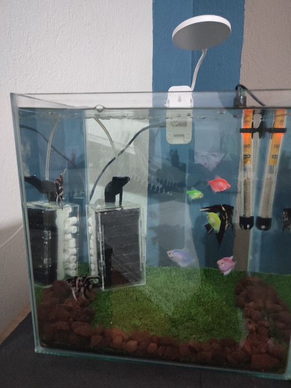 Atlantik Akvaryum Isıtıcı 100 Watt 25 cm